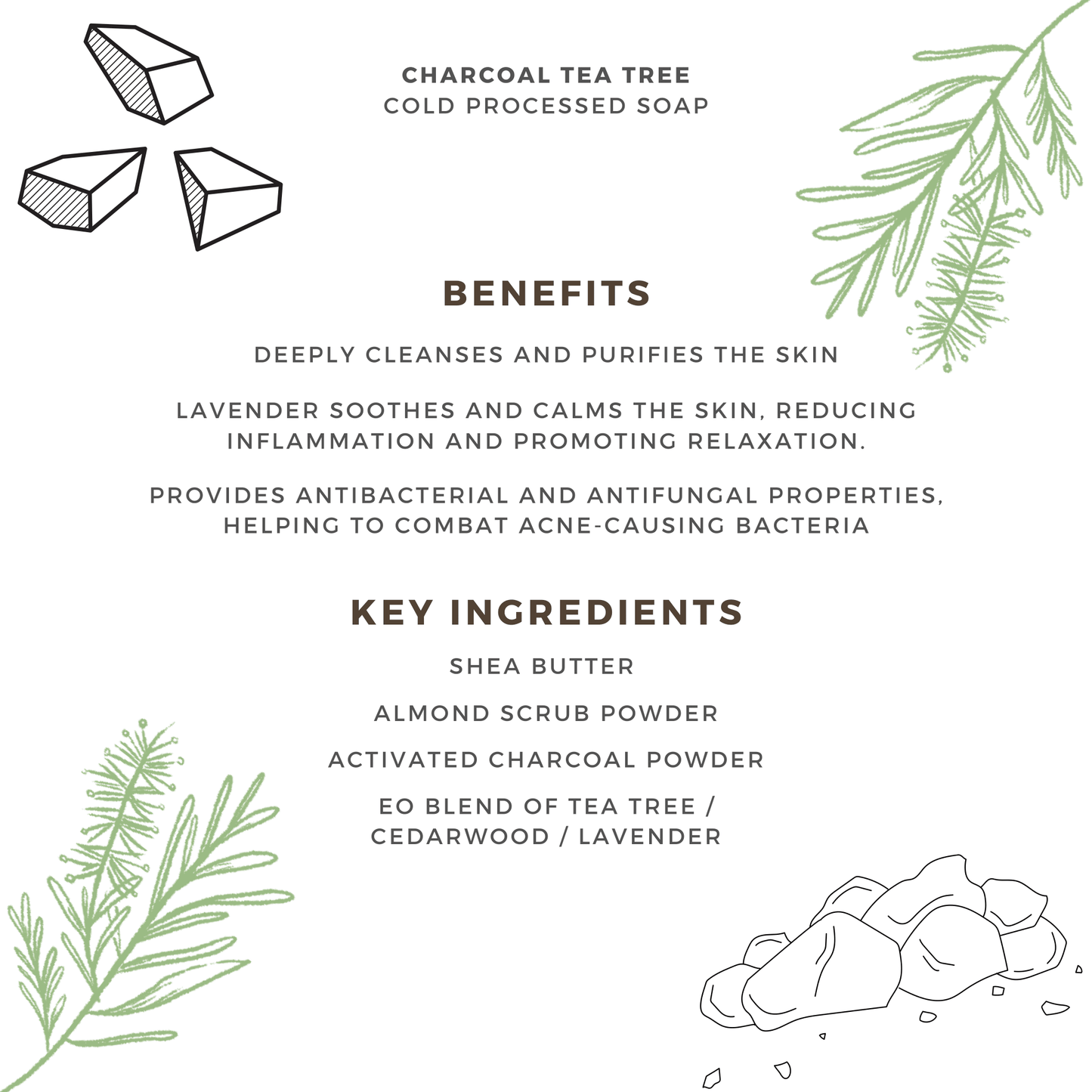 Kesar Chandan & Charcoal Tea Tree w/ soap dish | Set of 2 Cold Processed Soap