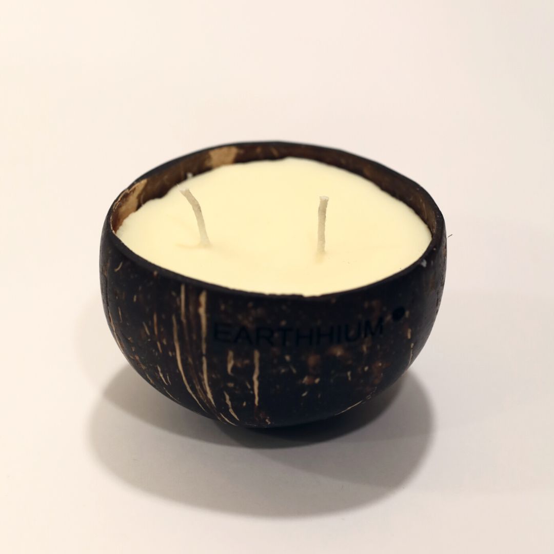 Lavender | Coconut shell candle